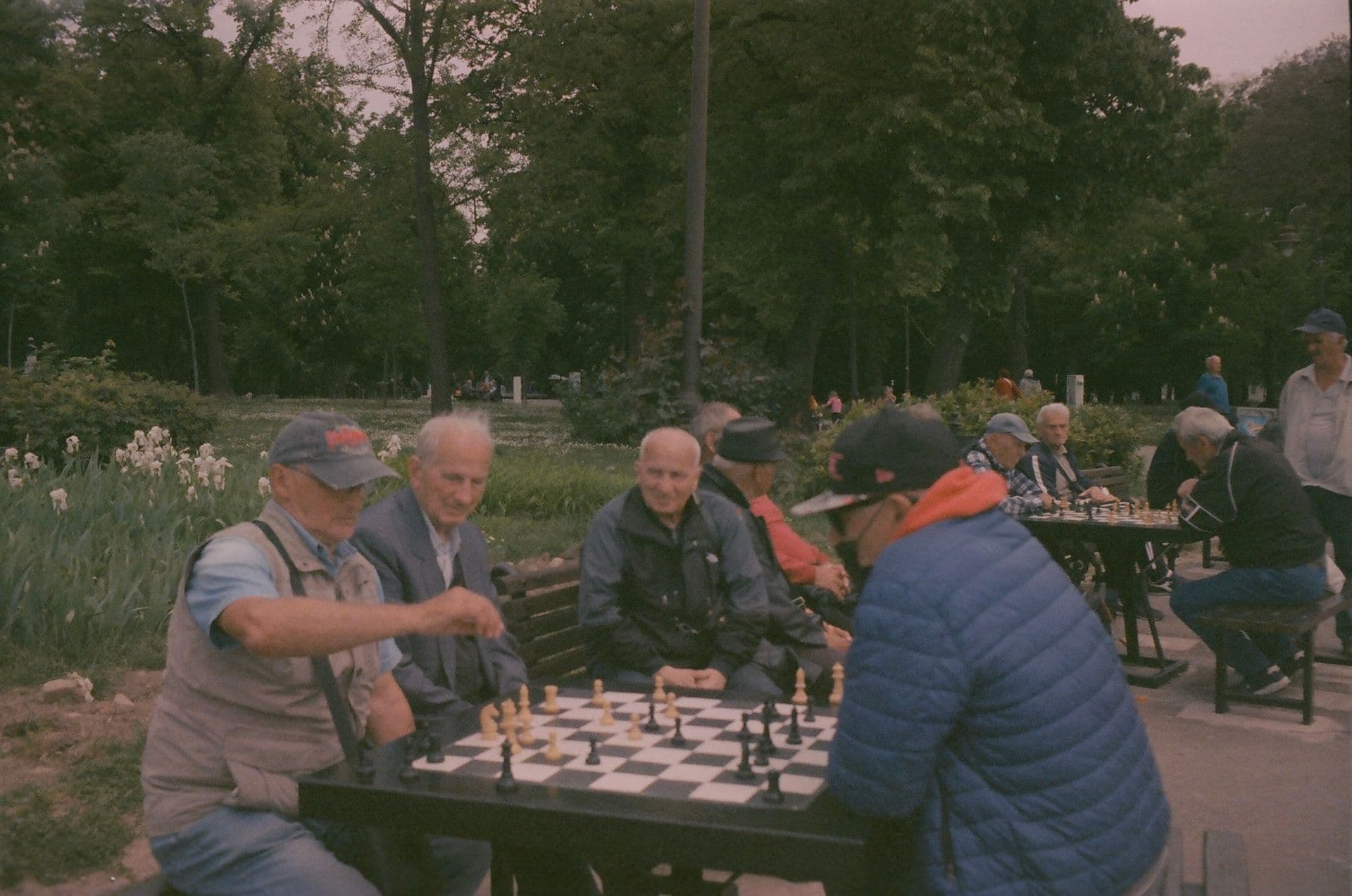 Older men playing chess at outdoor tables in a leafy park.